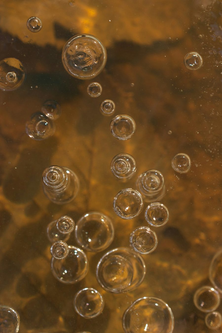 Burbujas atrapadas bajo una capa de hielo ambarina